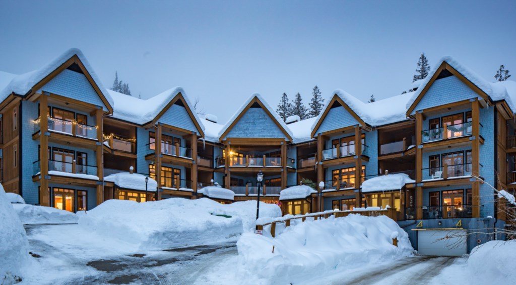 Silvertip 11