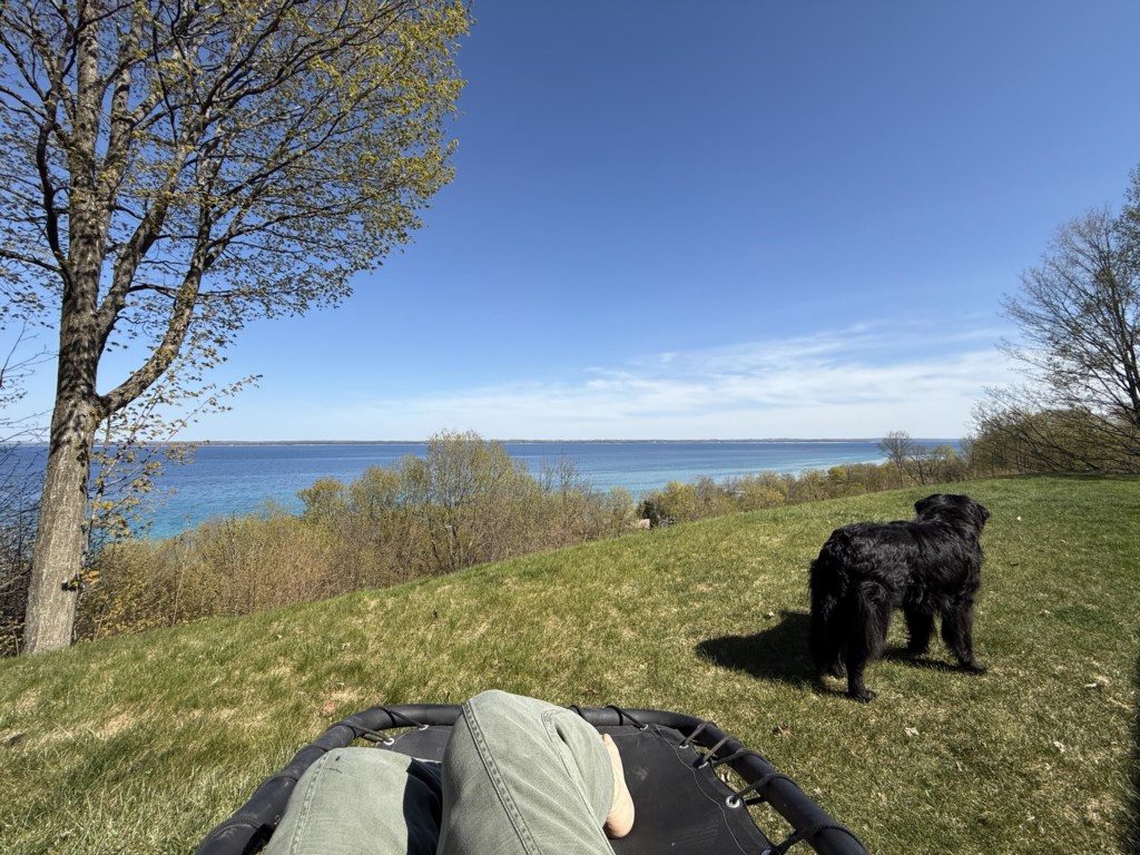 Violet's View