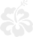 rose-image