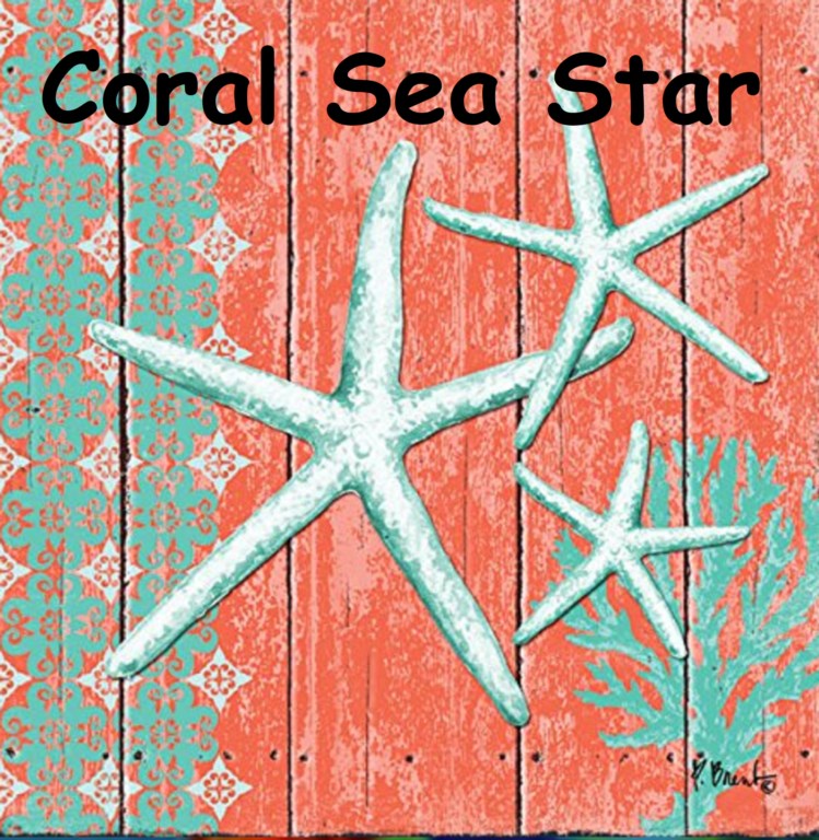 Coral Sea Star in Sarasota