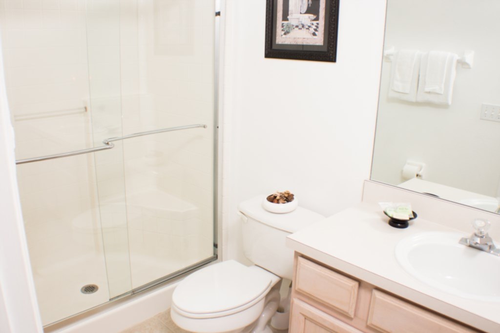 Master Ensuite Bathroom - Shower/Tub Combination & Toilet