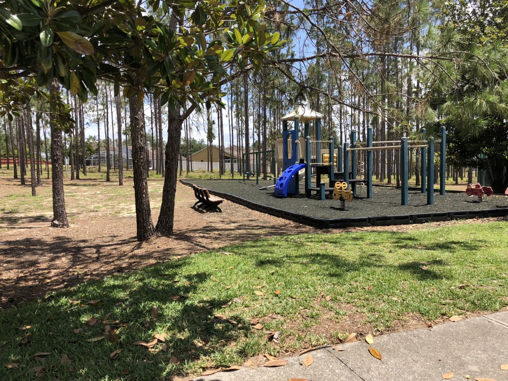 Swings & Children's Playground