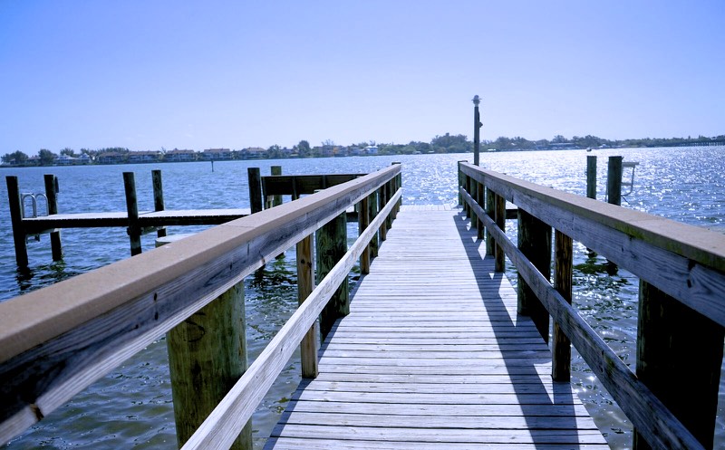 Your private dock the dolphins love to hangout at and entertain you