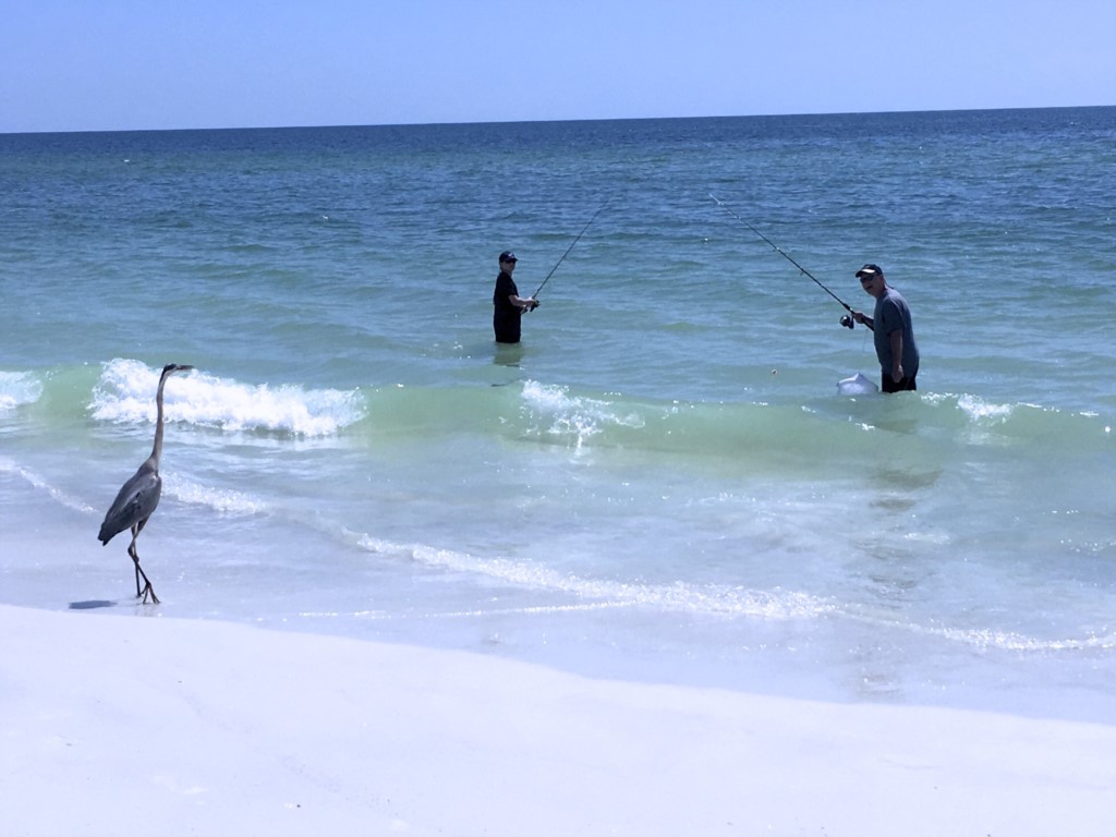 Fishing in the Gulf 