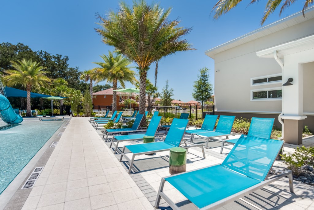 VerandaPalms-11