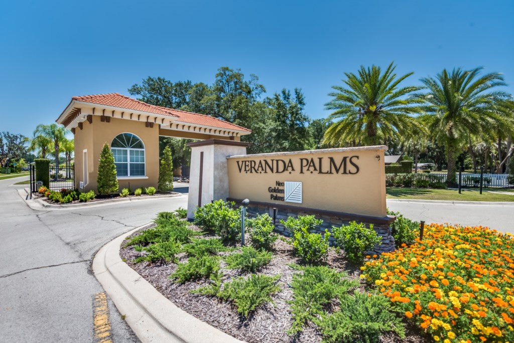 VerandaPalms-1
