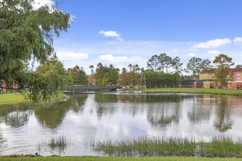 14-web-or-mls-TerraVerde(14)