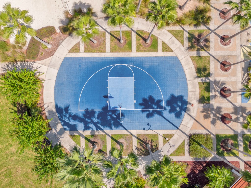 15-web-or-mls-TerraVerdebasket