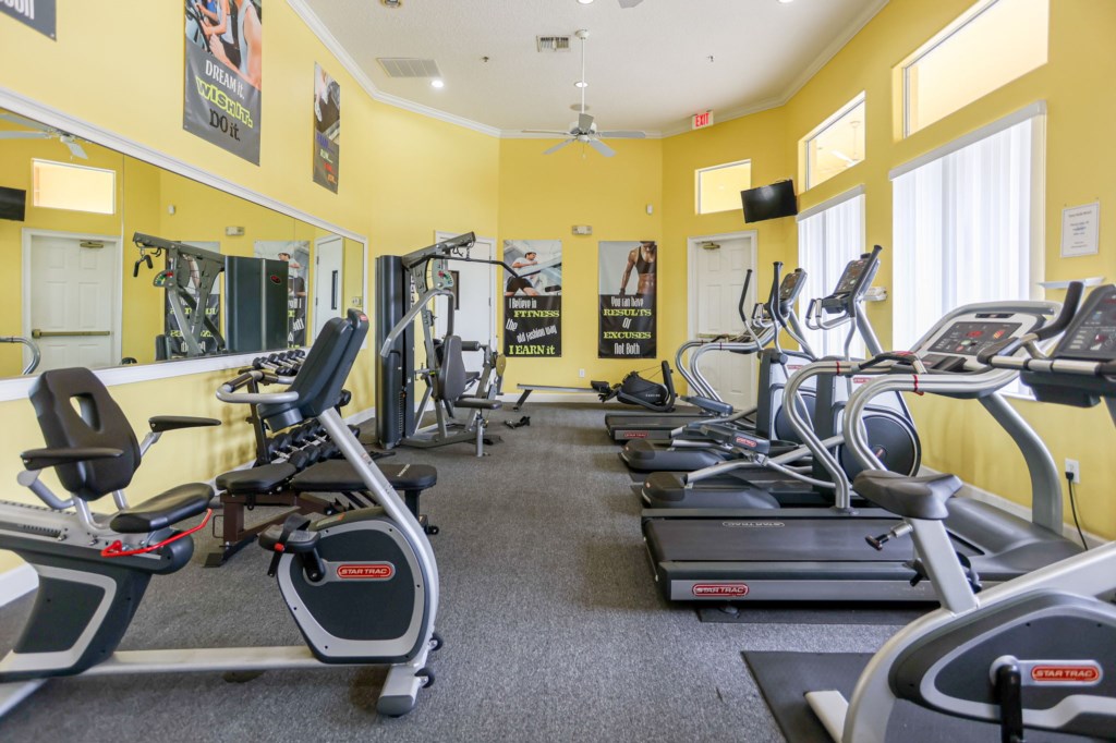 6-web-or-mls-TerraVerde(6)