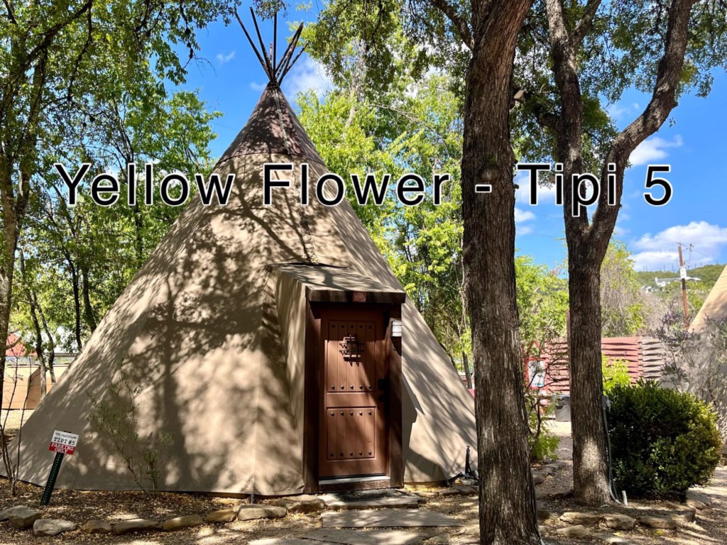 Yellow Flower - Tipi 5