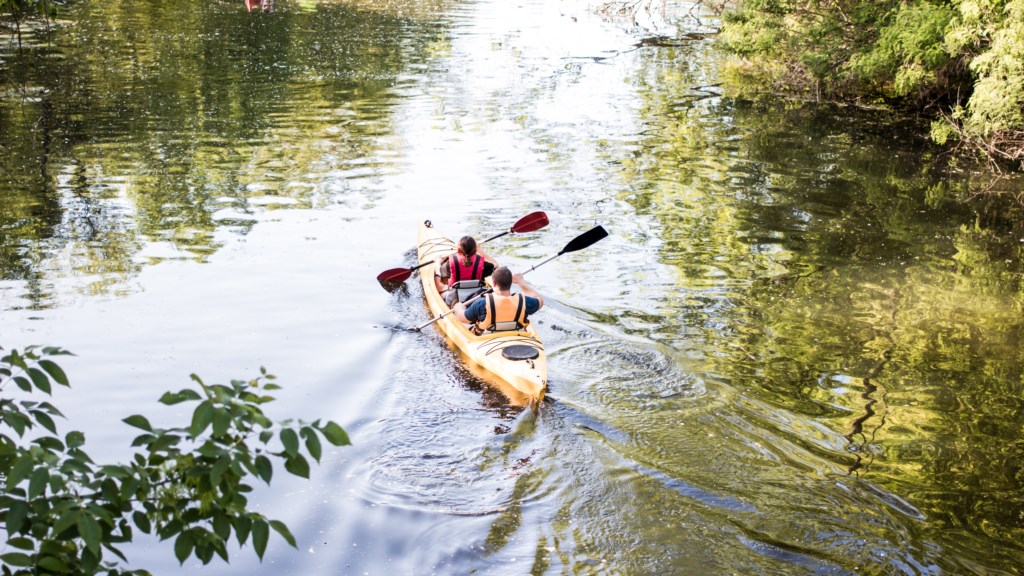 Daily kayak rentals offered for our guests for an additional fee.
