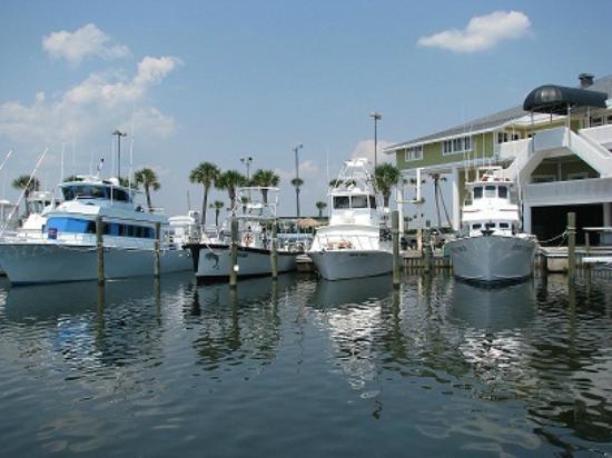 Fishing charters available locally