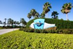 attractions_shopping_13.1498519140.jpg