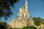 orlando_10.1479571219.jpg