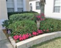 218 Troon flowers.jpg