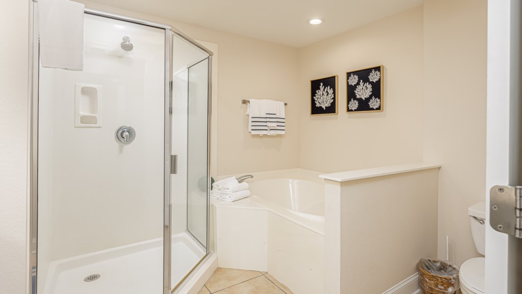 Large shower and seperate bathtub in the master bath