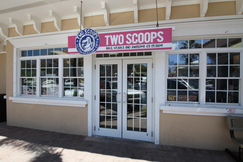 Two Scoops Ice Cream