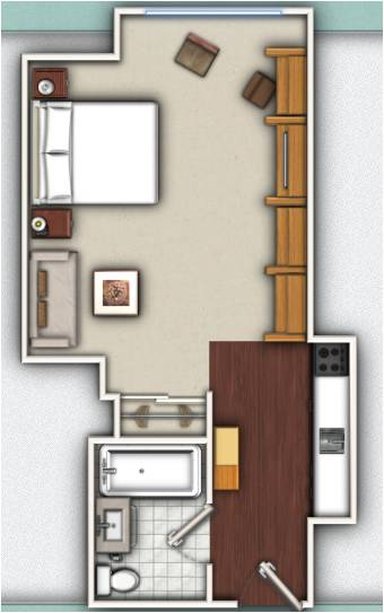 Studio_Suite_P.jpg