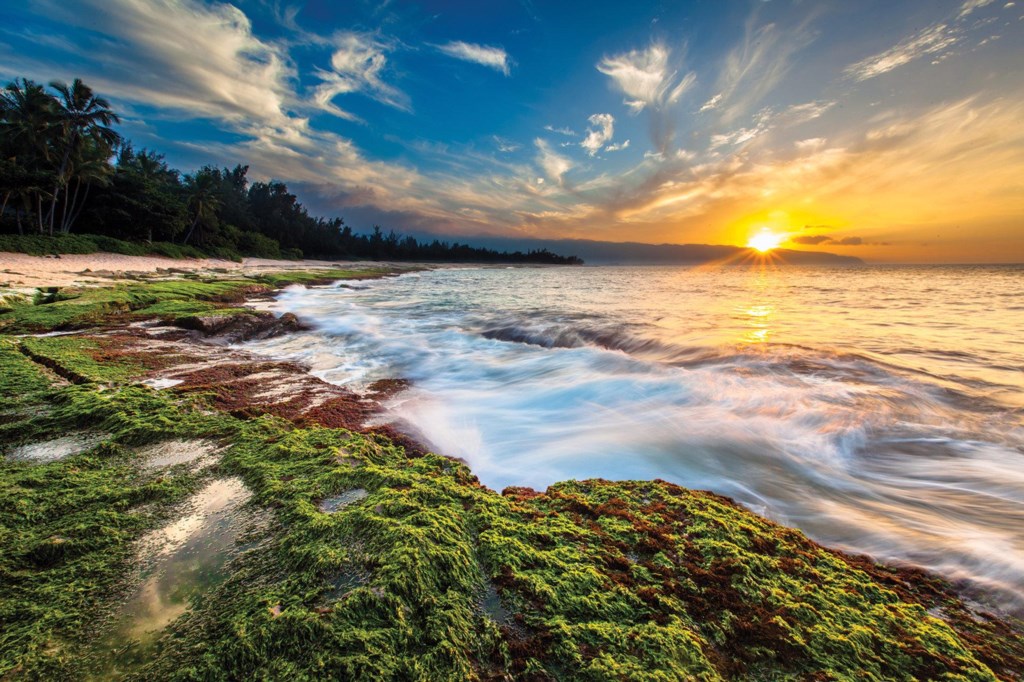 iStock-519573772_S