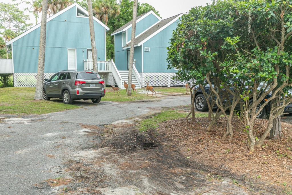 ClubWyndham_OceanRidge_ExteriorandAmenities-014