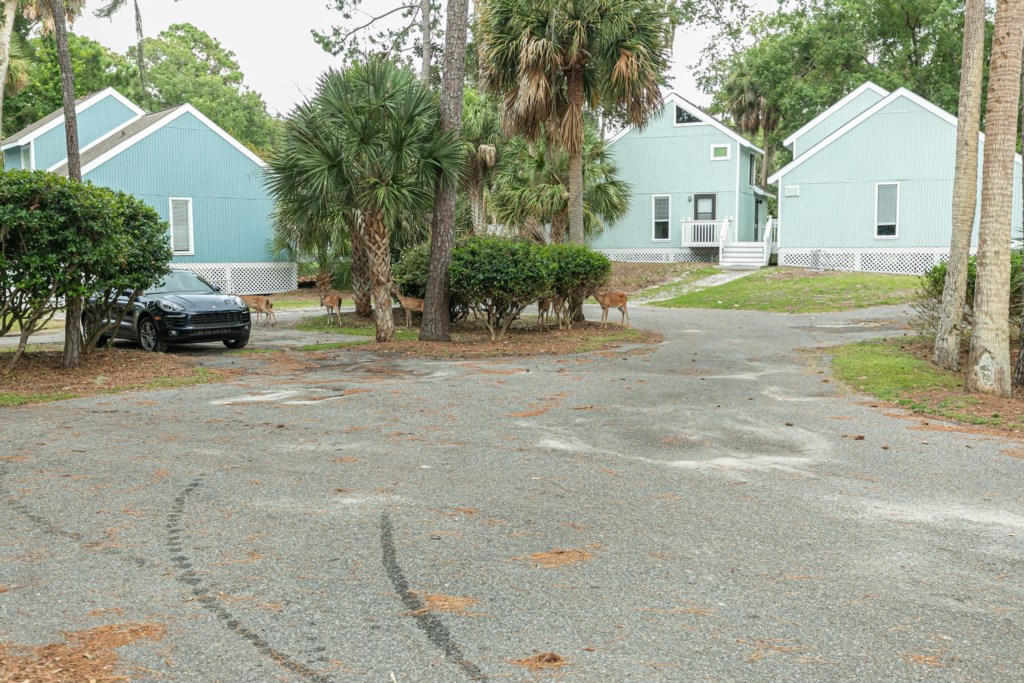 ClubWyndham_OceanRidge_ExteriorandAmenities-013