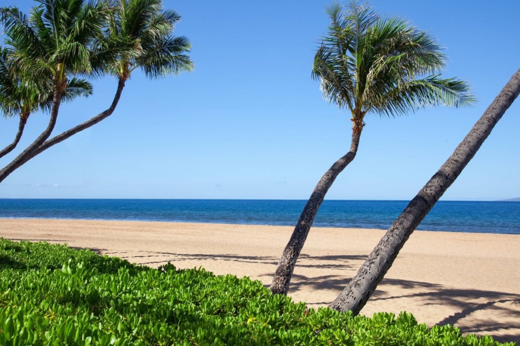 Marriott's Maui Ocean Club_14.jpg