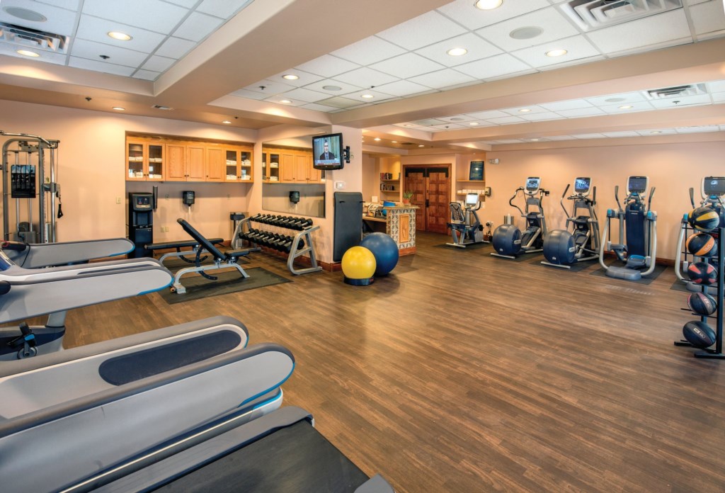 Shell_Legacy_fitness_1_S