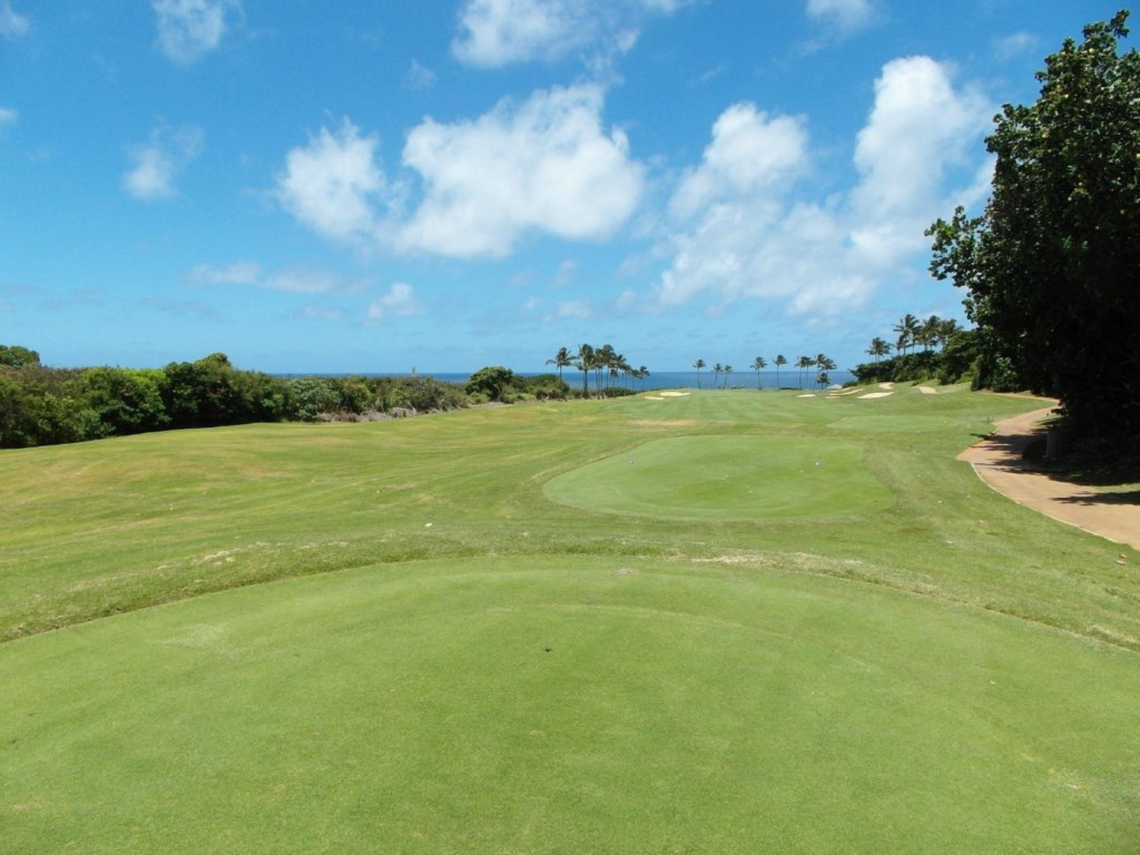 Marriott's Kauai Lagoons Kalanipu'u_36.jpg