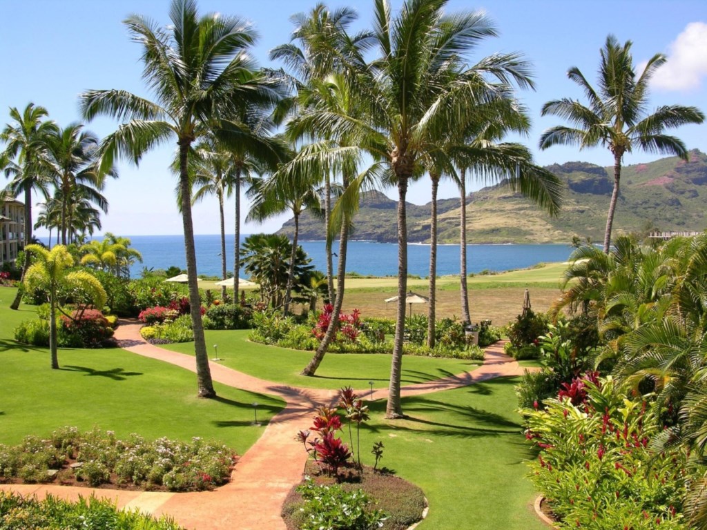 Marriott's Kauai Lagoons Kalanipu'u_41.jpg