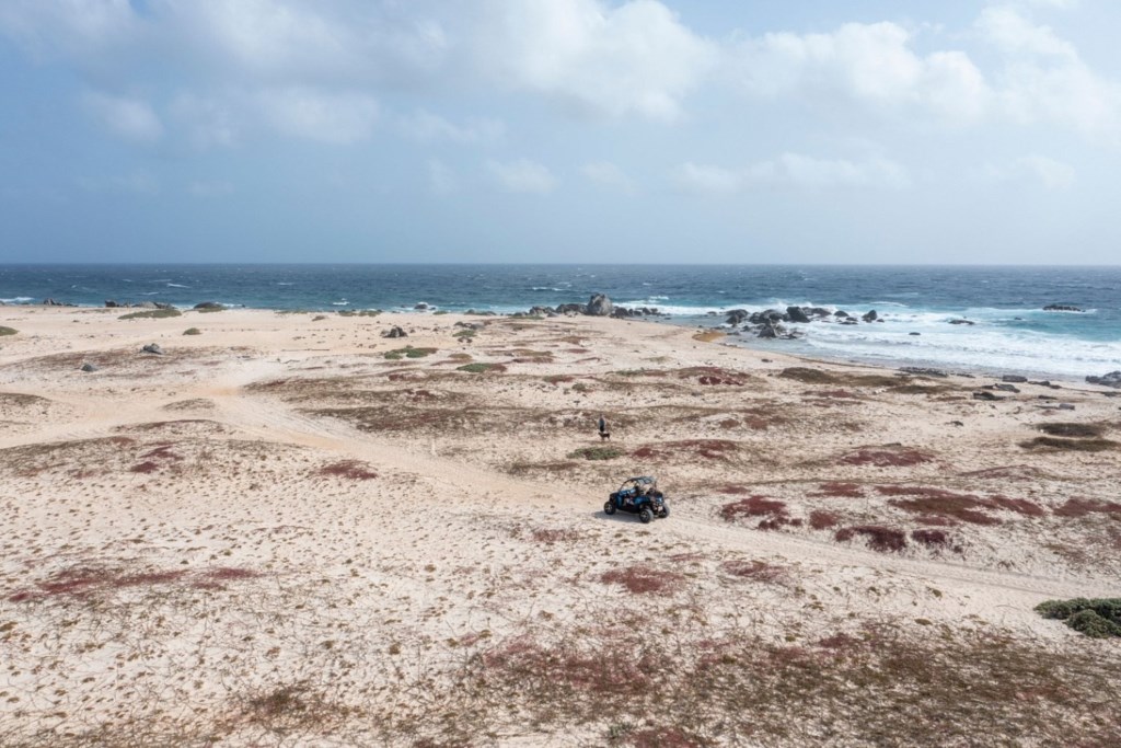 Marriott's Aruba Ocean Club_26.jpg
