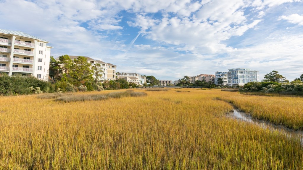 Marriott's SurfWatch_47.jpg