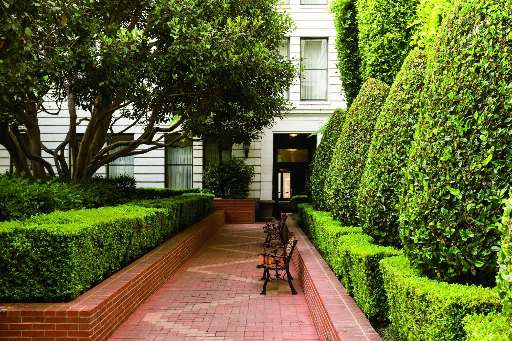the-ritz-carlton-san.jpg