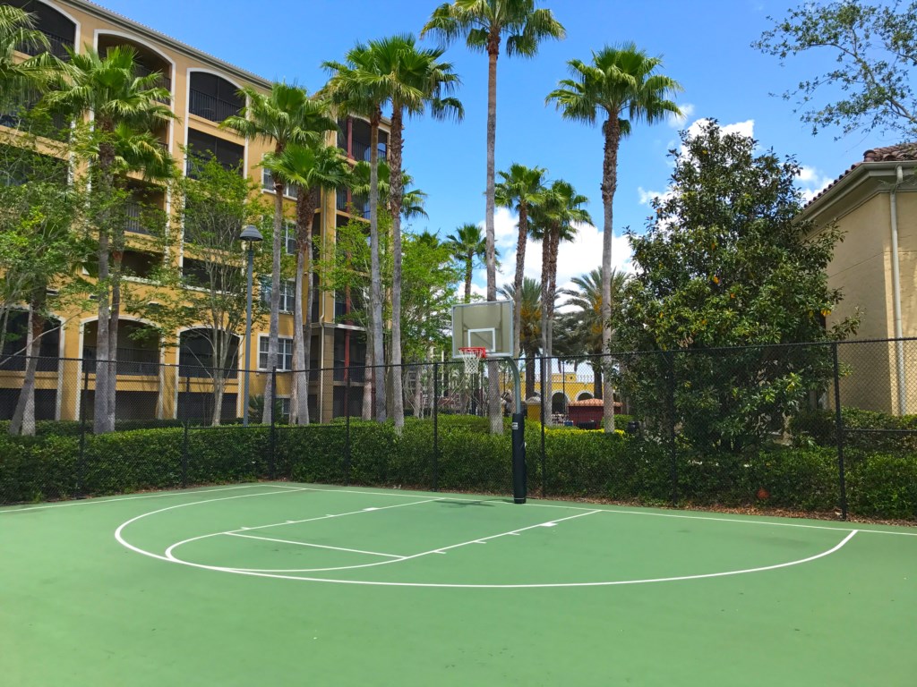 orlin-hi-res-basketball.jpg