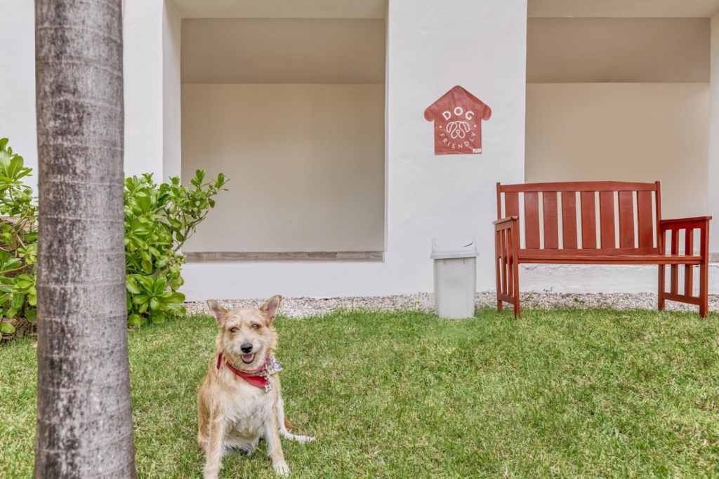 Fiesta Americana Villas Cancun_49_dog-friendly.jpg