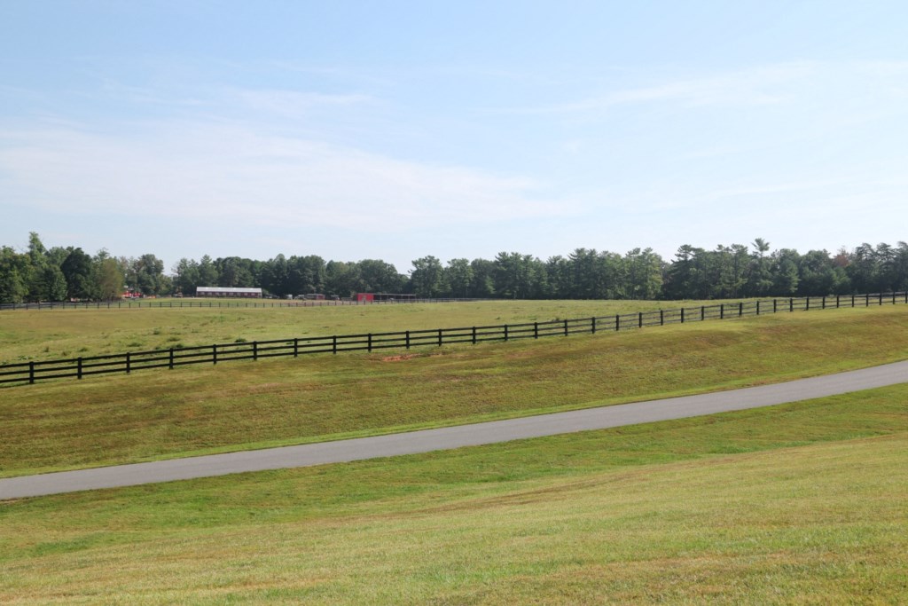 BG Vacations Shenandoah Crossing_Snapper_36.jpg