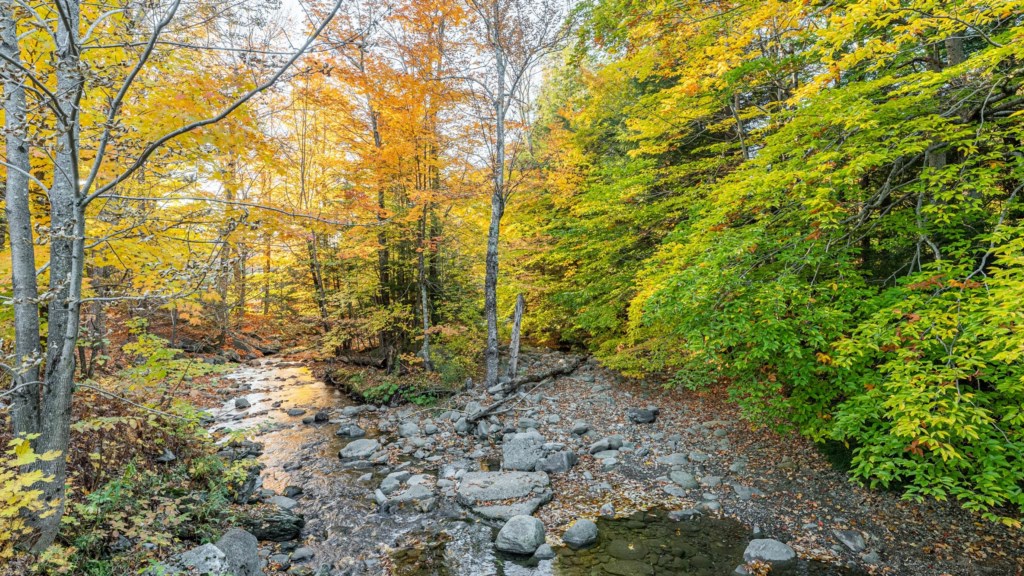 Club Wyndham Smugglers' Notch Vermont_hiking_1.jpg