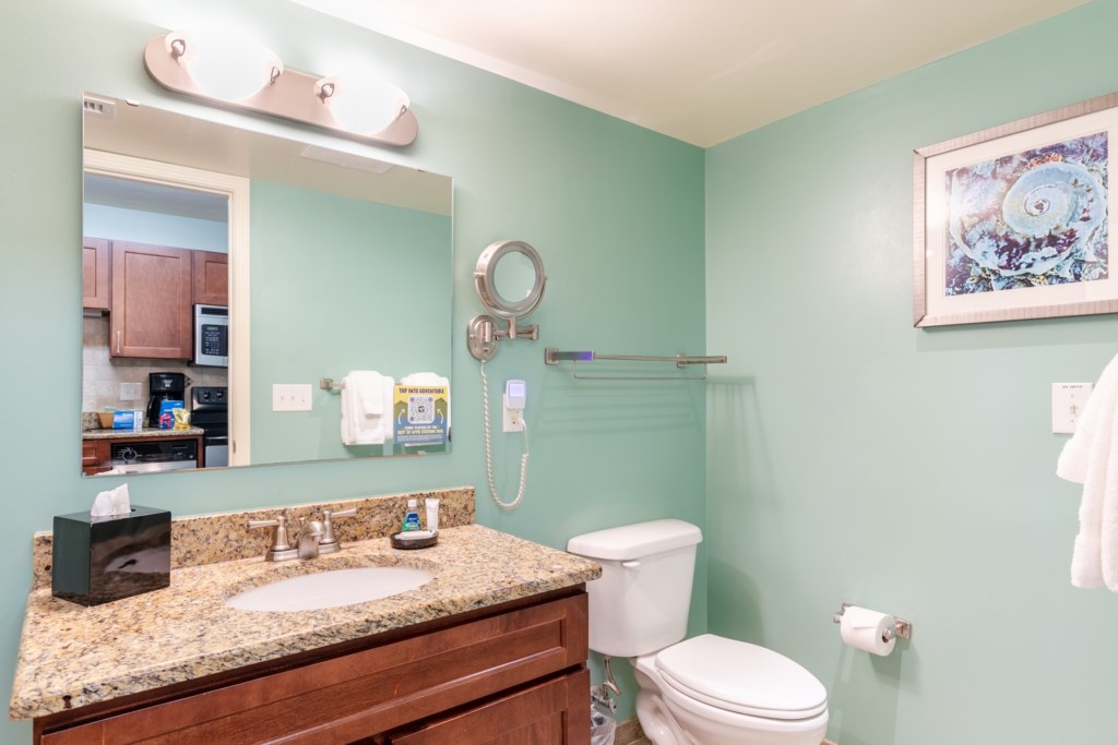ClubWyndhamTowersontheGroveStudio_bathroom-002