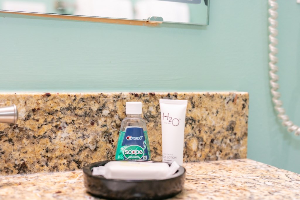 ClubWyndhamTowersontheGroveStudio_bathroom-005