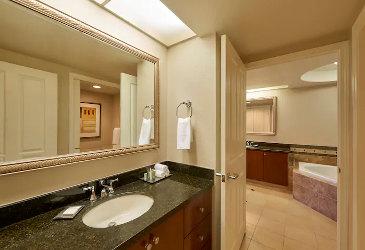 lasfl-hi-res-suite-bathroom