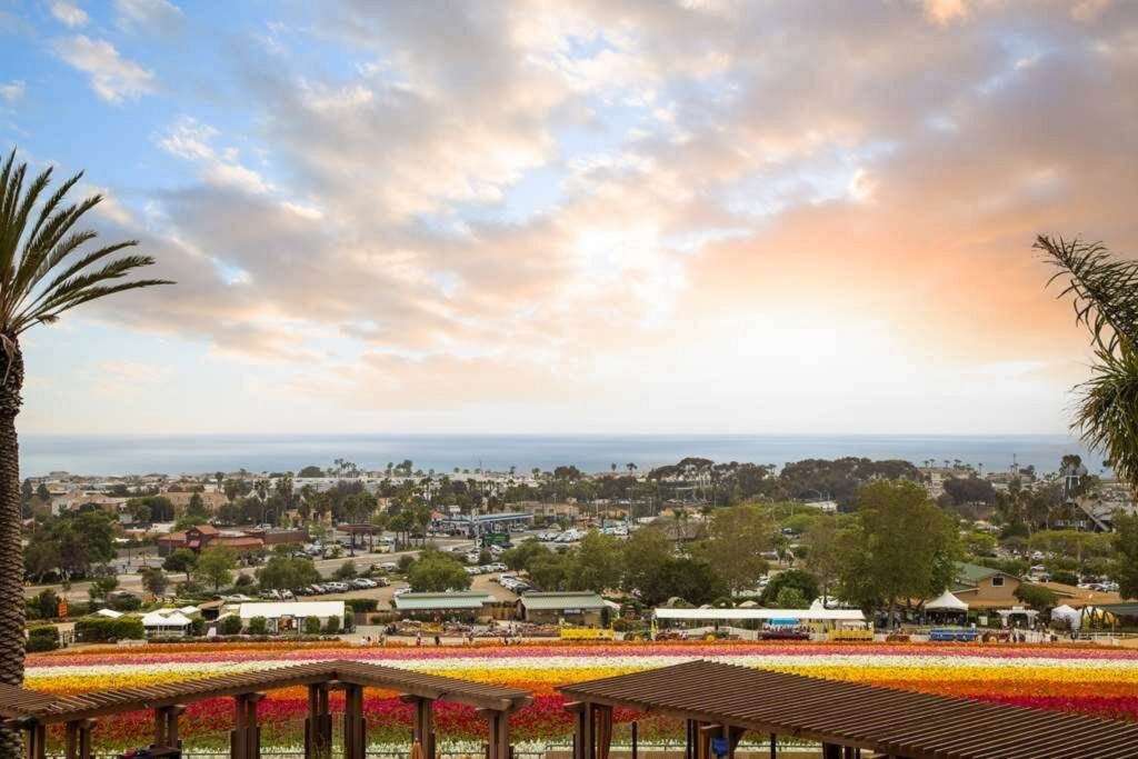 Grand Pacific Palisades_28_coastline-views.jpg