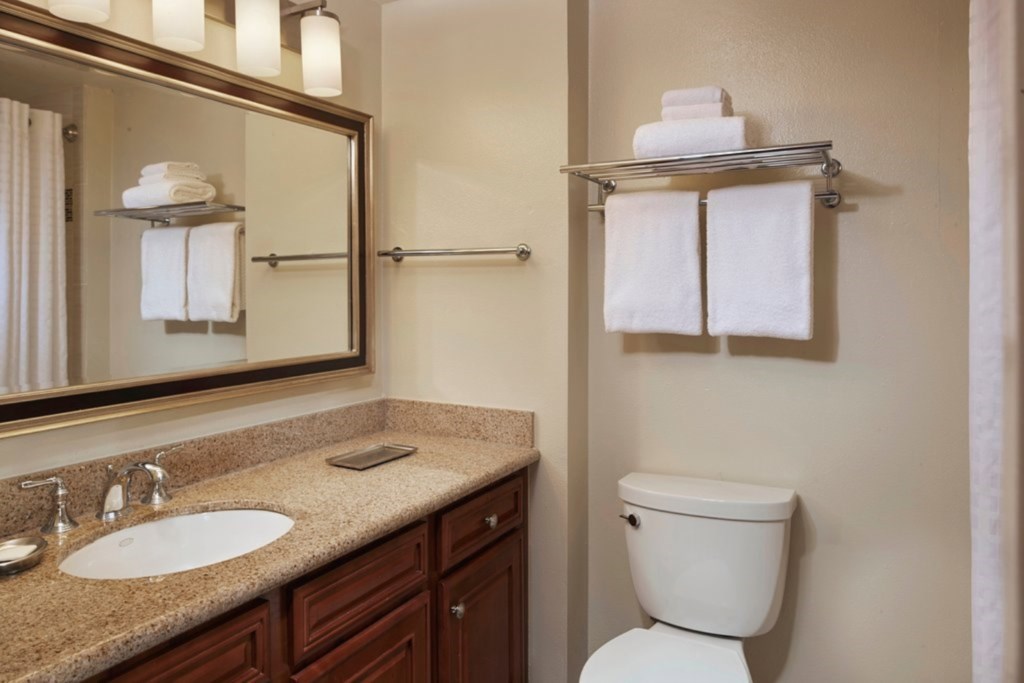 SeaWorld® Orlando, a Hilton Grand Vacations Club_10.jpg