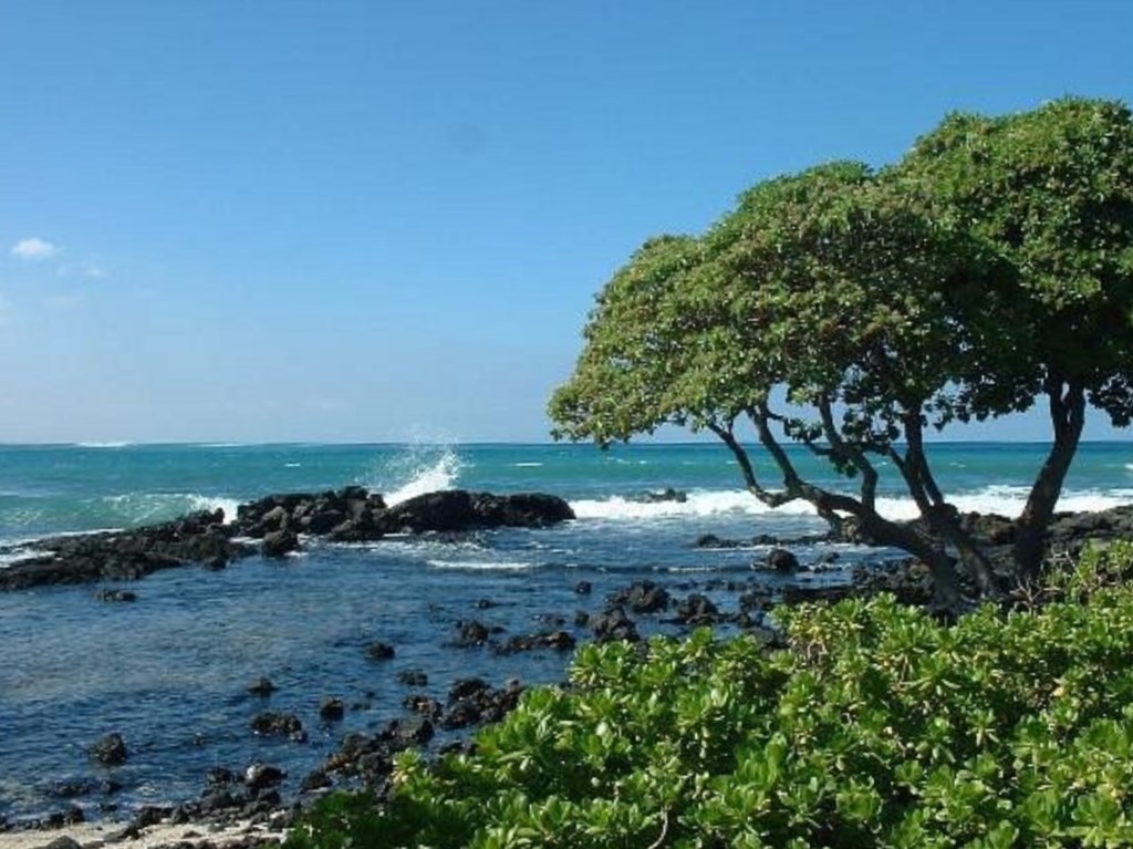 The Bay Club, a Hilton Grand Vacations Club_34.jpg