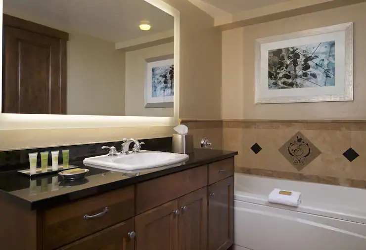 slcse-hi-res-suite-premier-k1zrr1-bathroom(1)