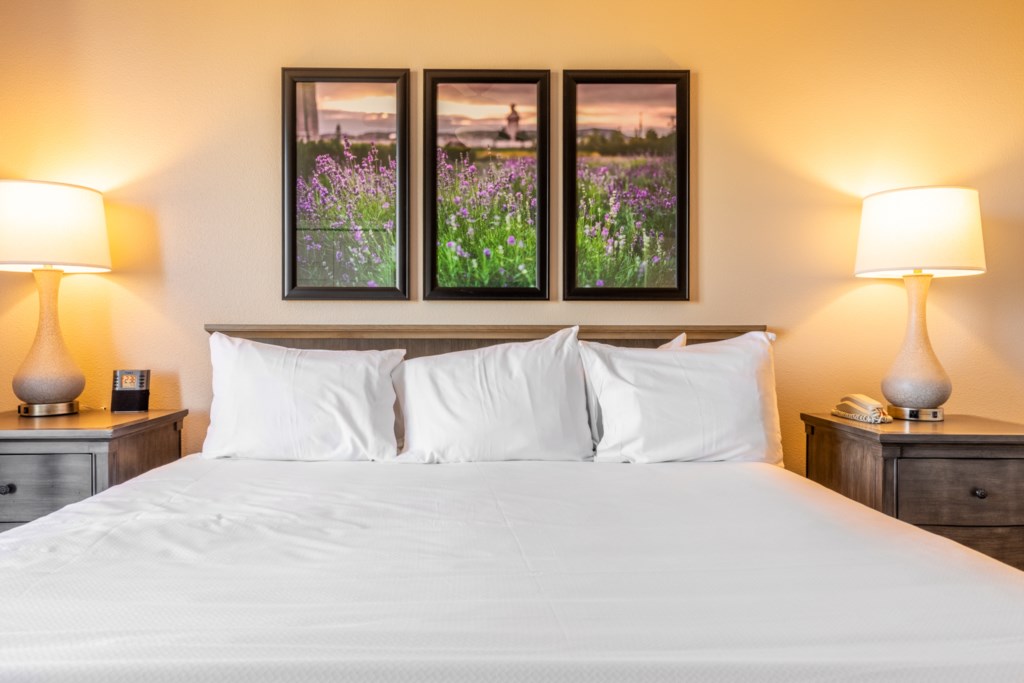 11 Club Wyndham Grand Desert 1 bedroom - bedroom (3).jpg