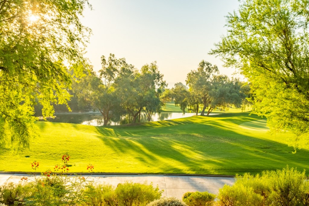 Marriott's Shadow Ridge_6.jpg
