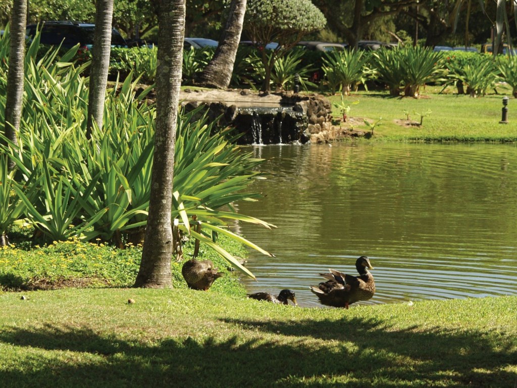 Club Wyndham Kauai Beach Villas_27.jpg