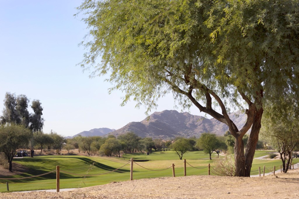 Scottsdale_20WBW_20AM_20106_S
