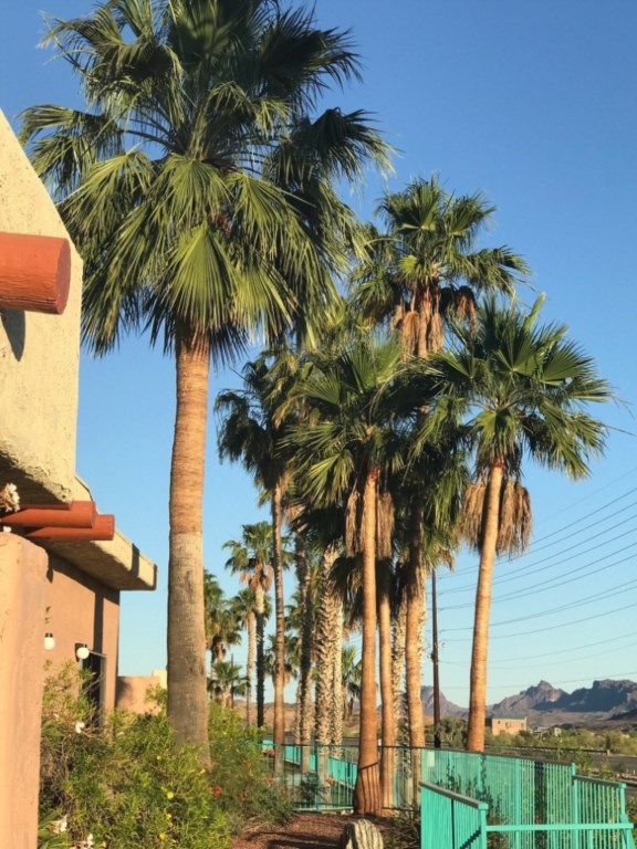 WorldMark Havasu Dunes_26.jpg