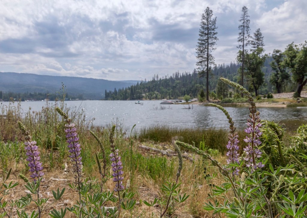Worldmark Bass Lake_26.jpg