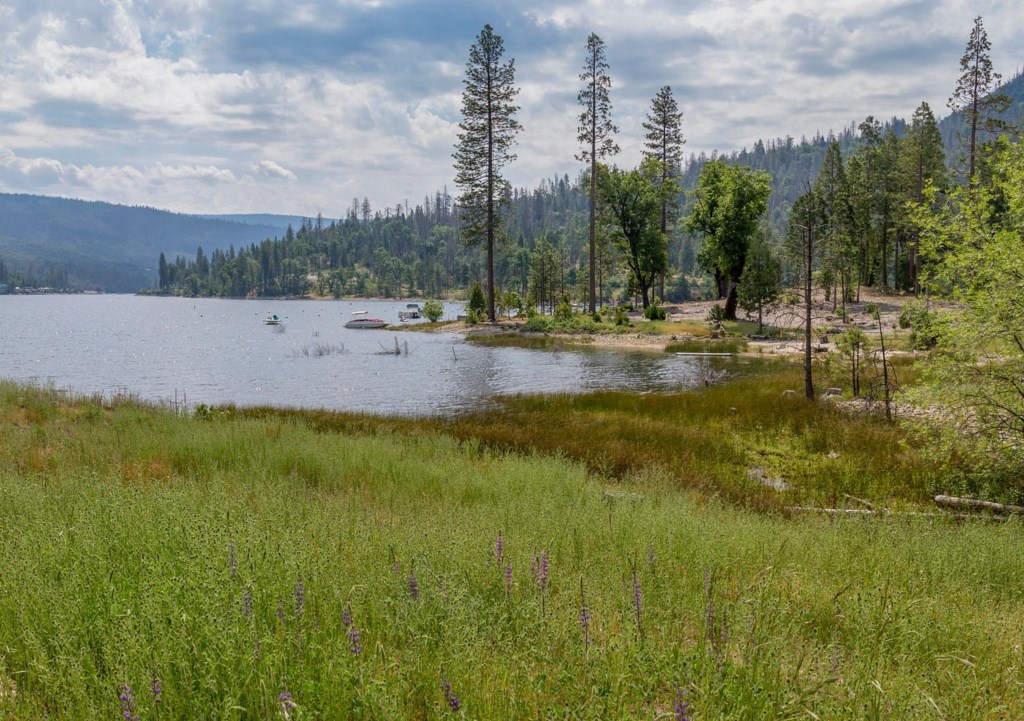 Worldmark Bass Lake_27.jpg